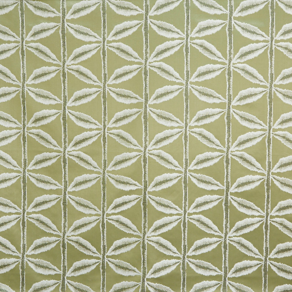 Palm Olive