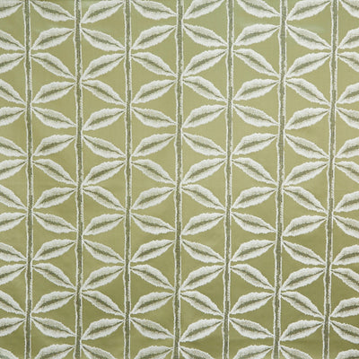 Palm Olive