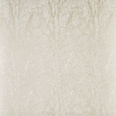 Kiku Alabaster