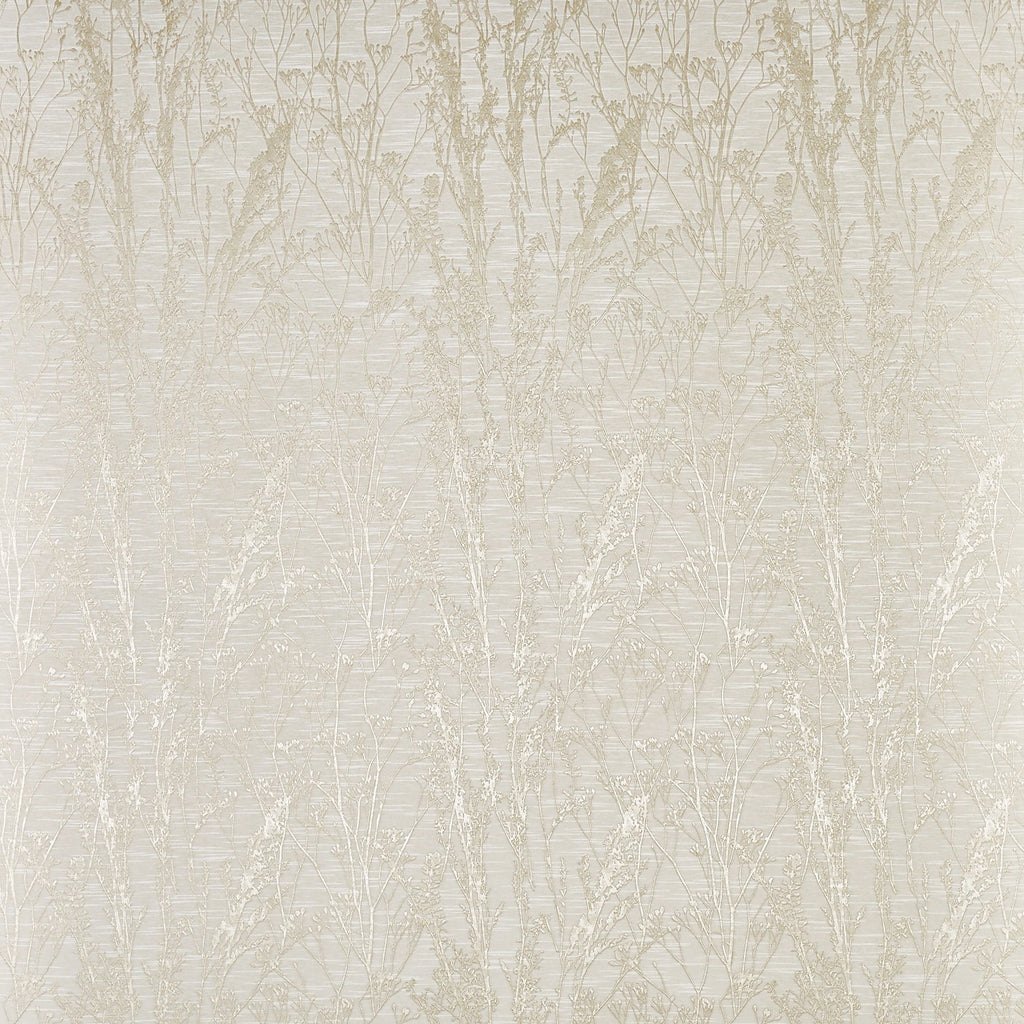 Kiku Alabaster