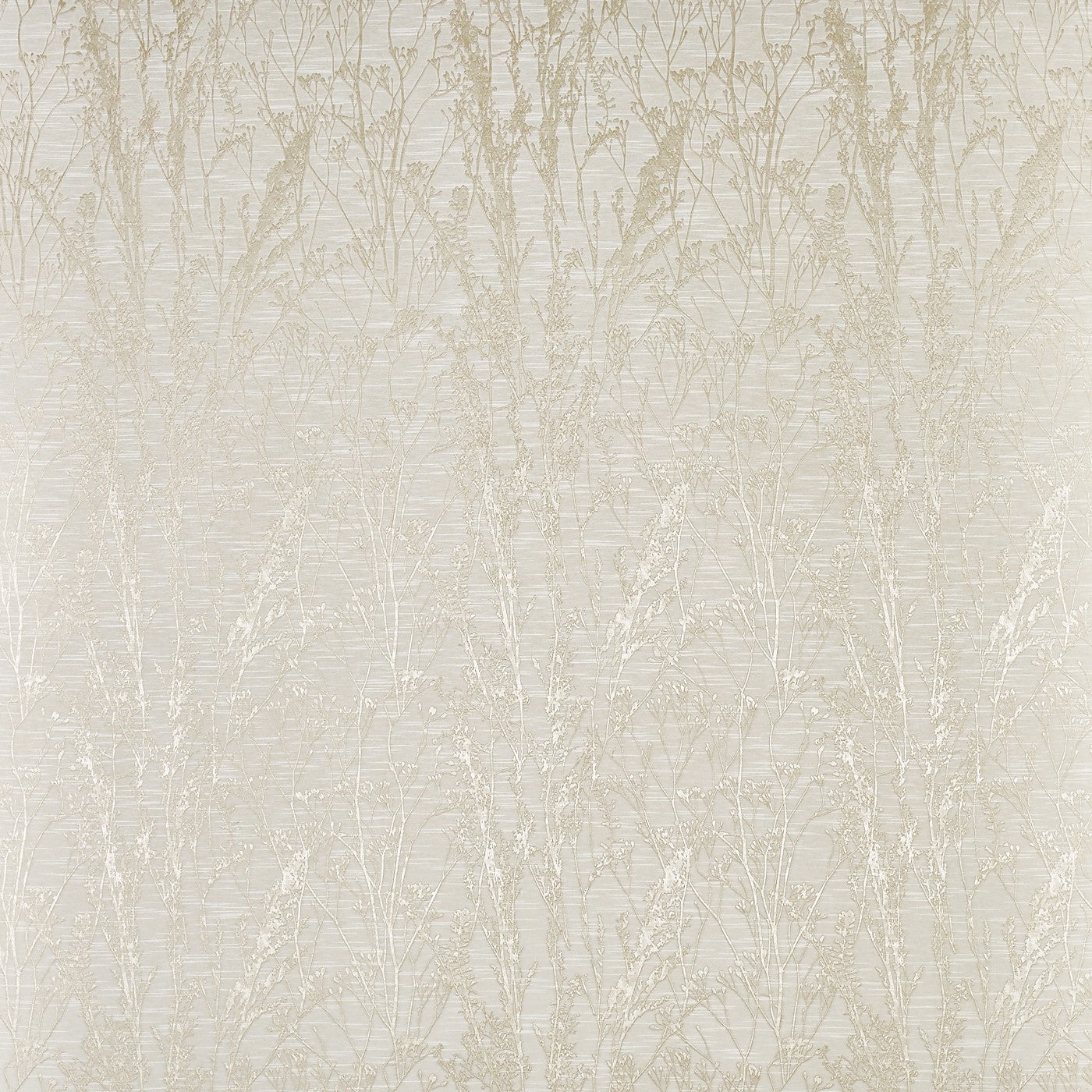 Kiku Alabaster
