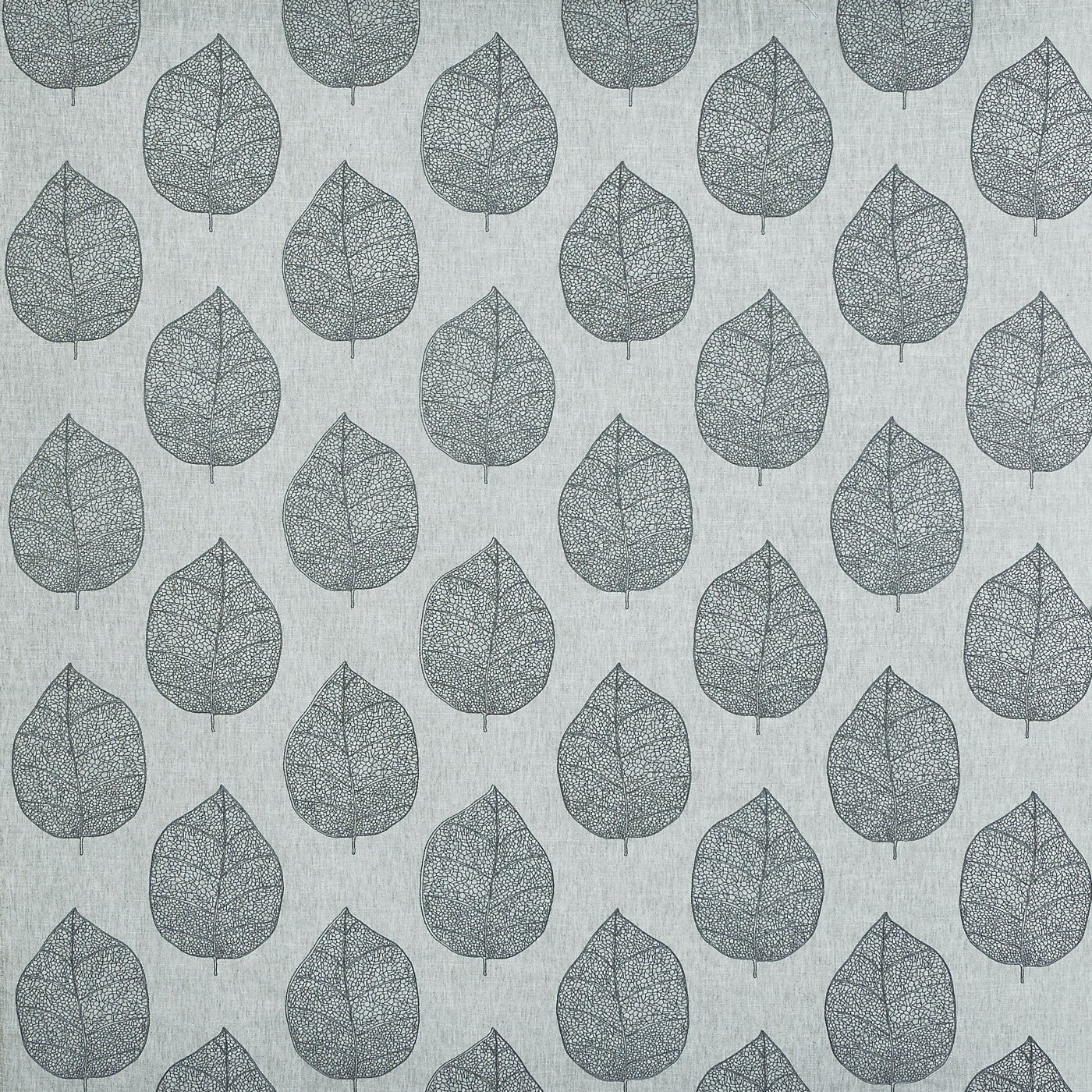 Sorano Carbon