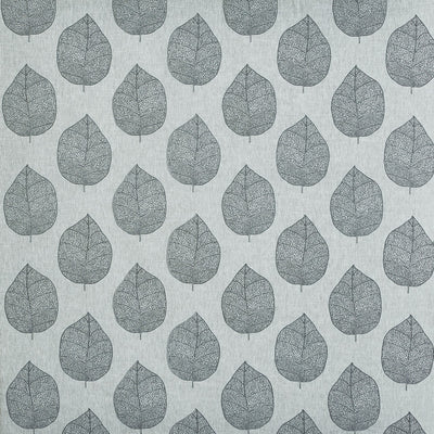 Sorano Carbon