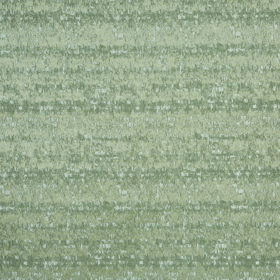 Euphoria Eucalyptus