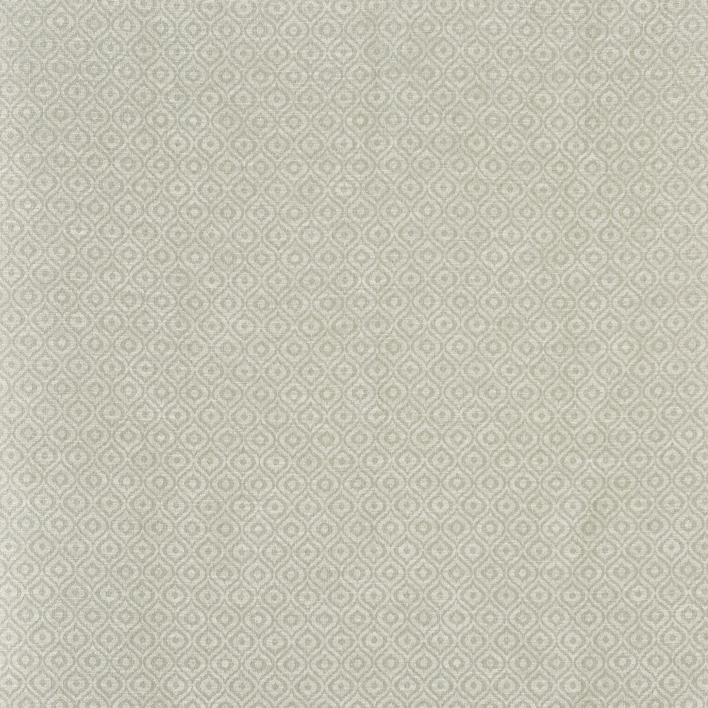 Austin Canvas