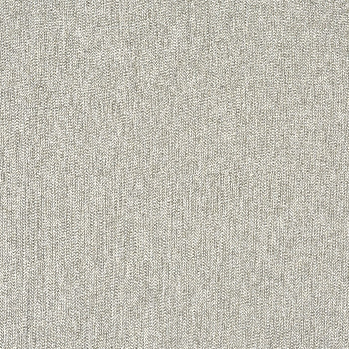 Flynn Angora