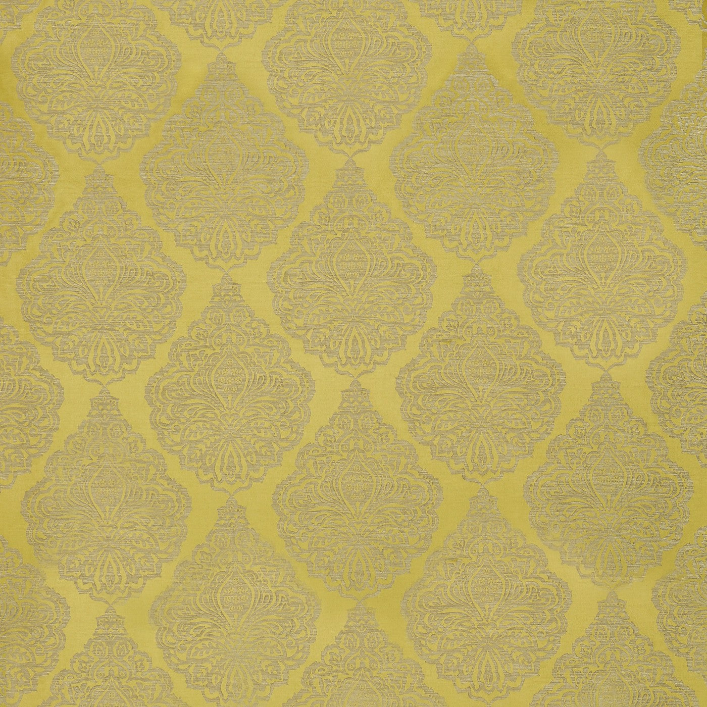 Botticelli Acacia