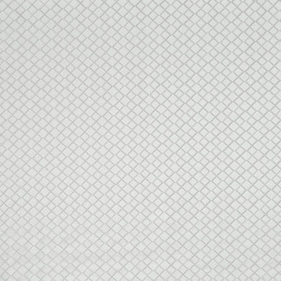 Magnasco Ivory