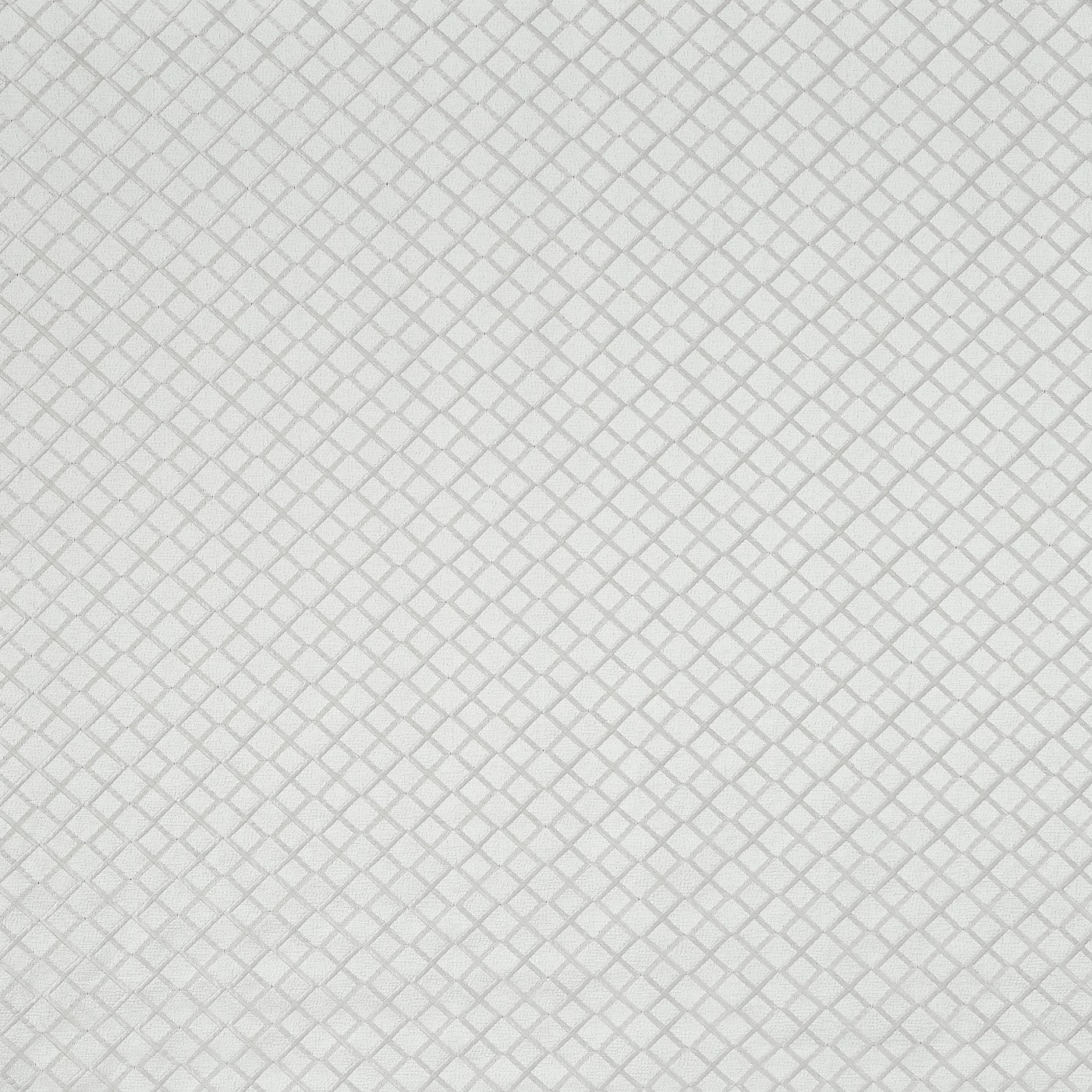 Magnasco Ivory