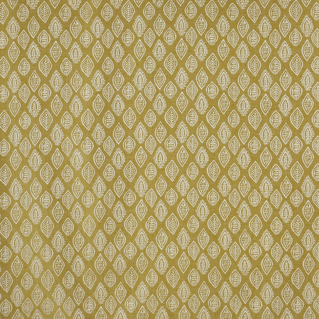 Millgate Kiwi