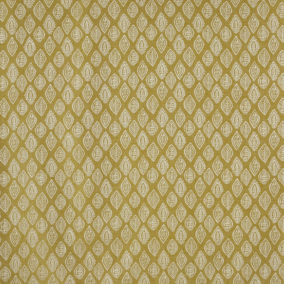 Millgate Kiwi