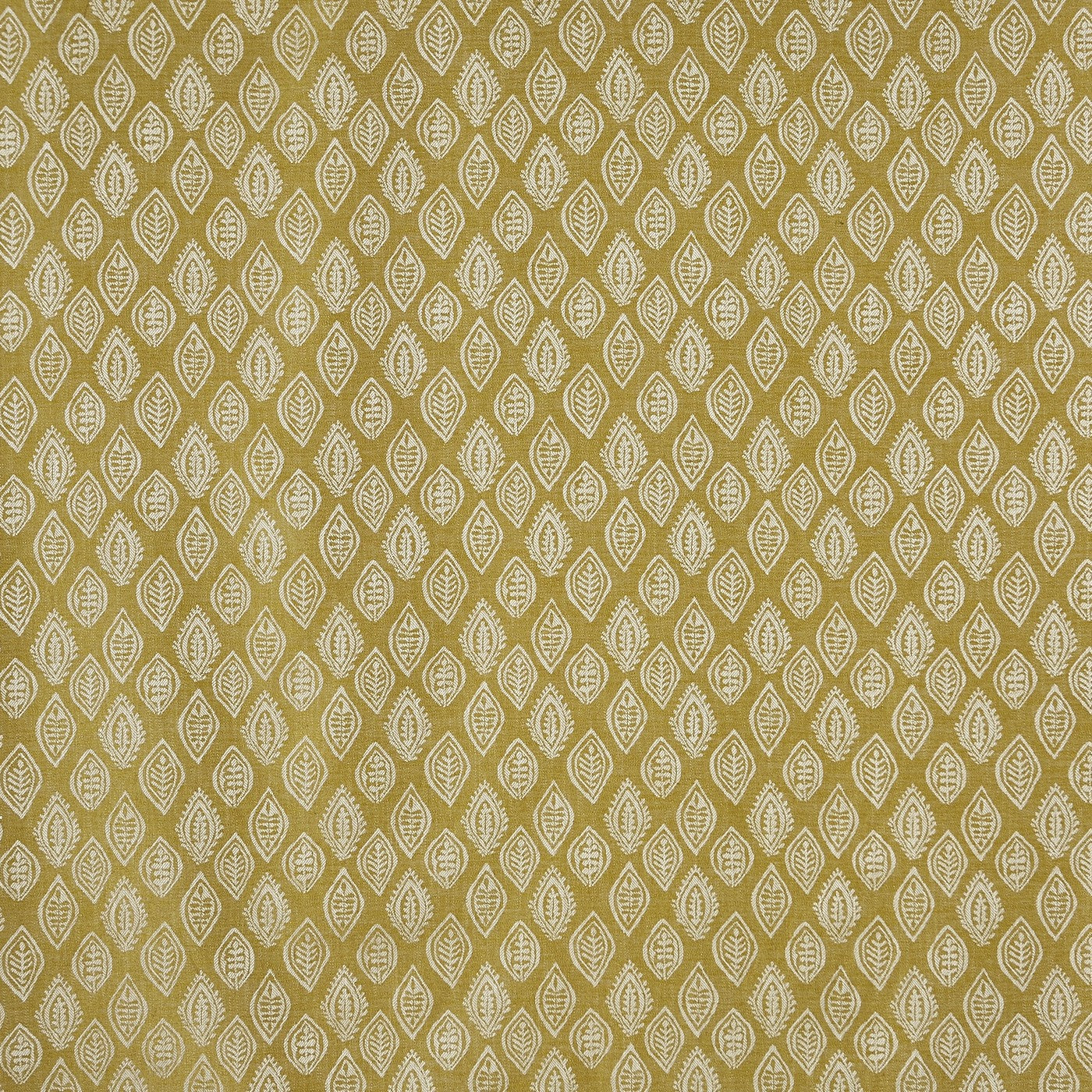 Millgate Kiwi