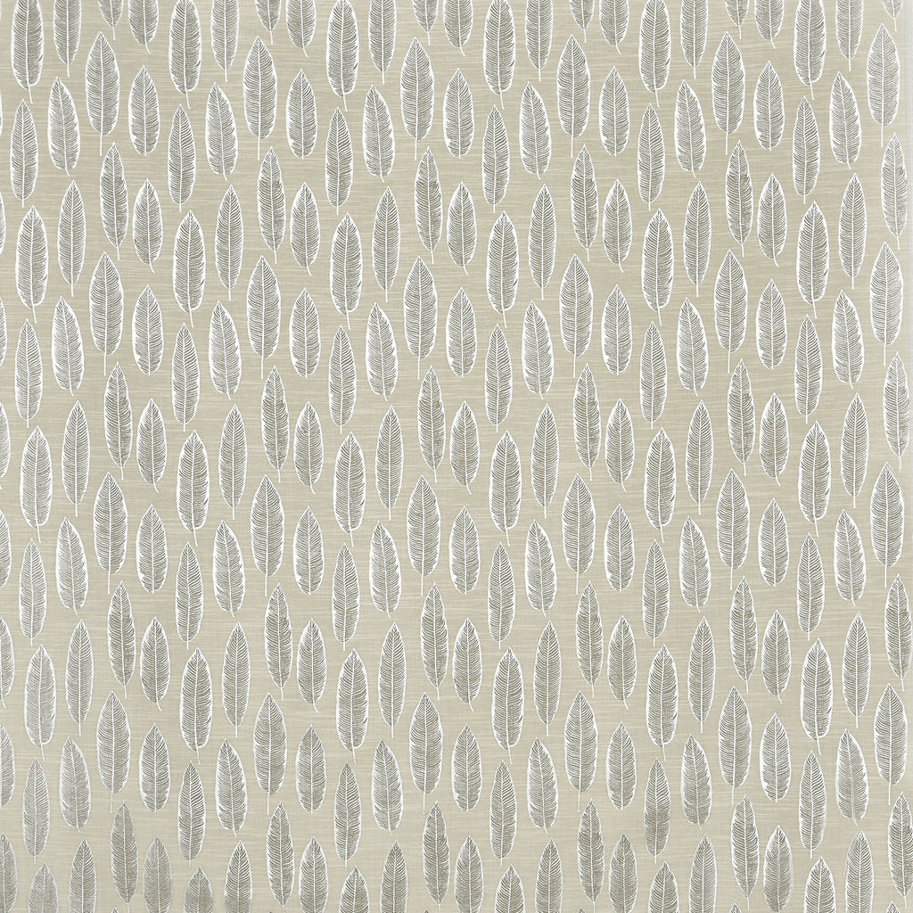 Quill Parchment