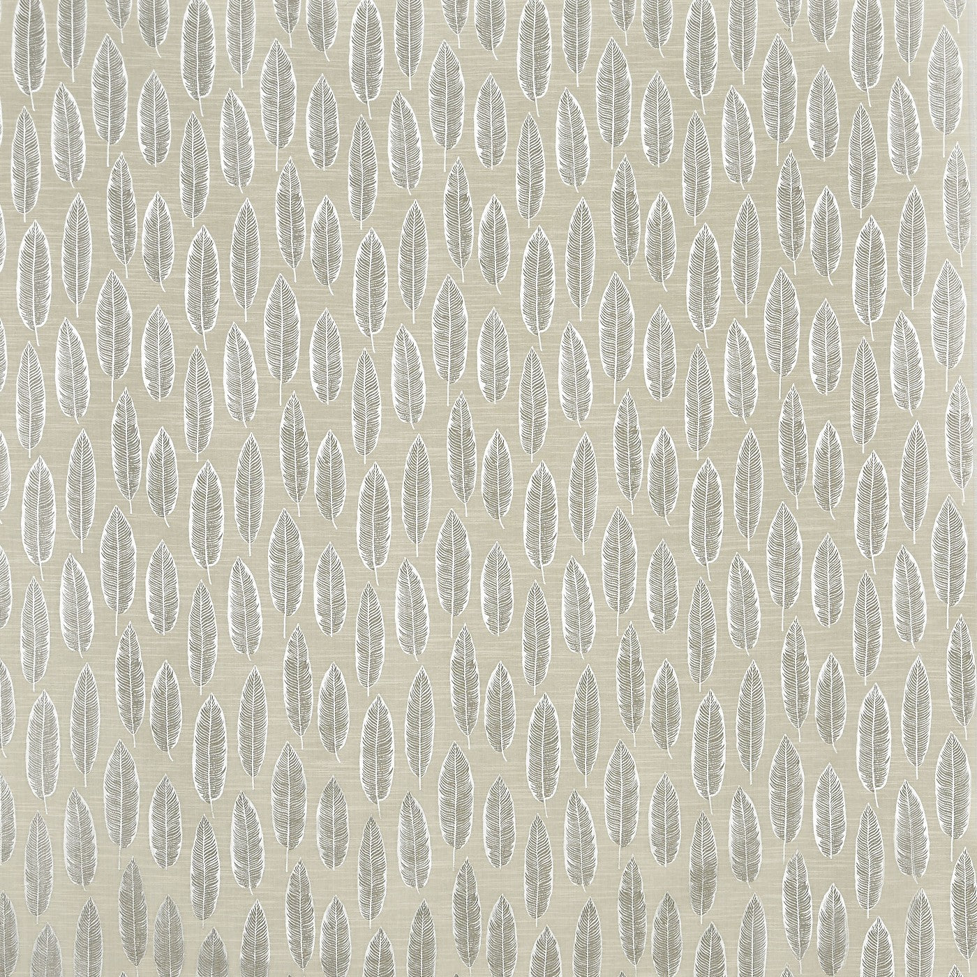 Quill Parchment