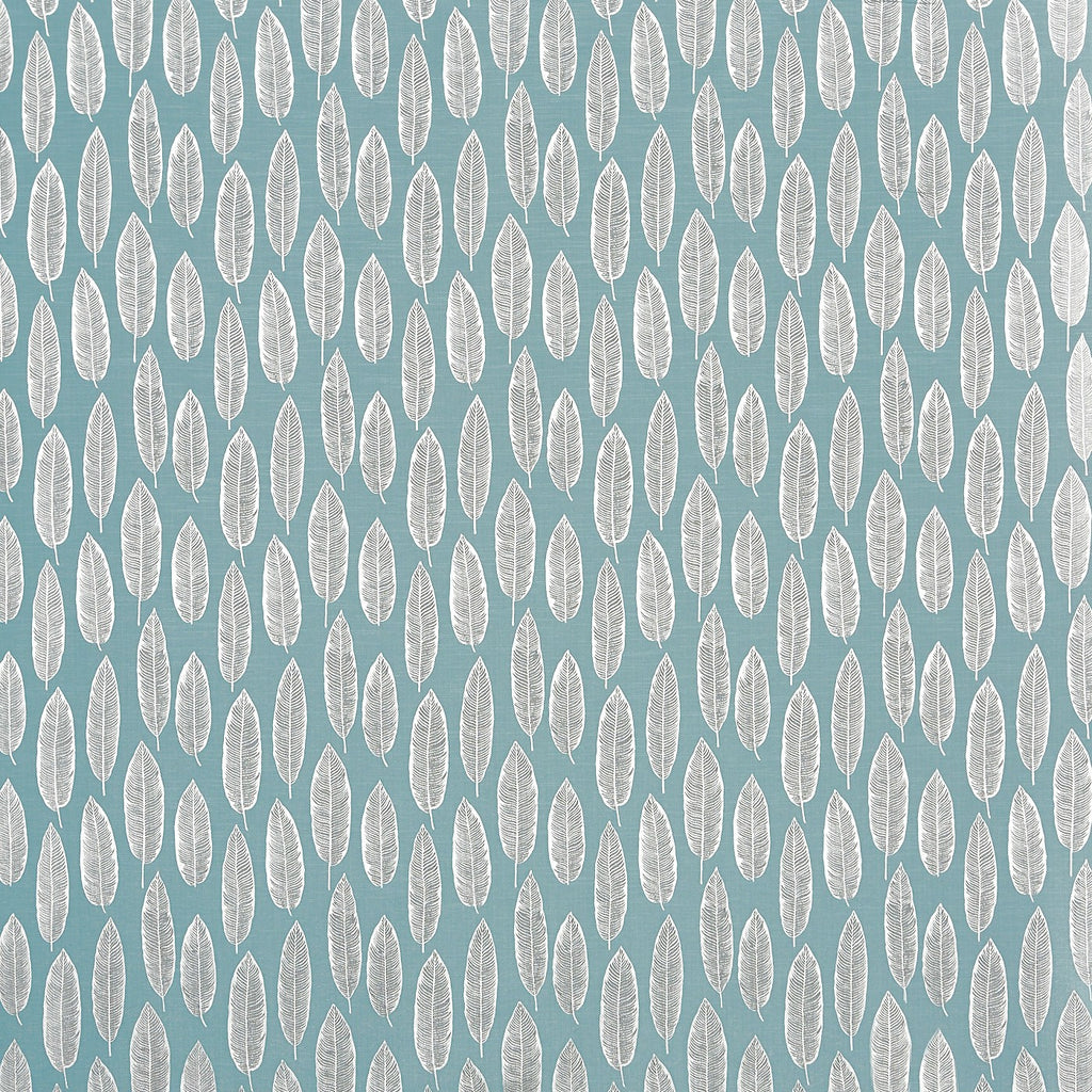Quill Teal