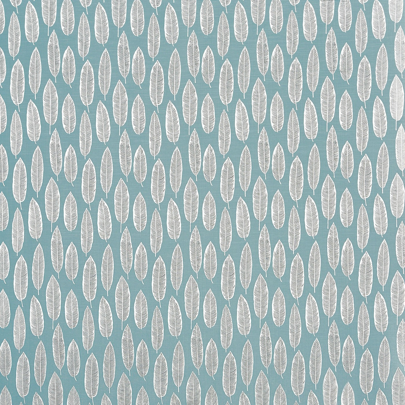 Quill Teal