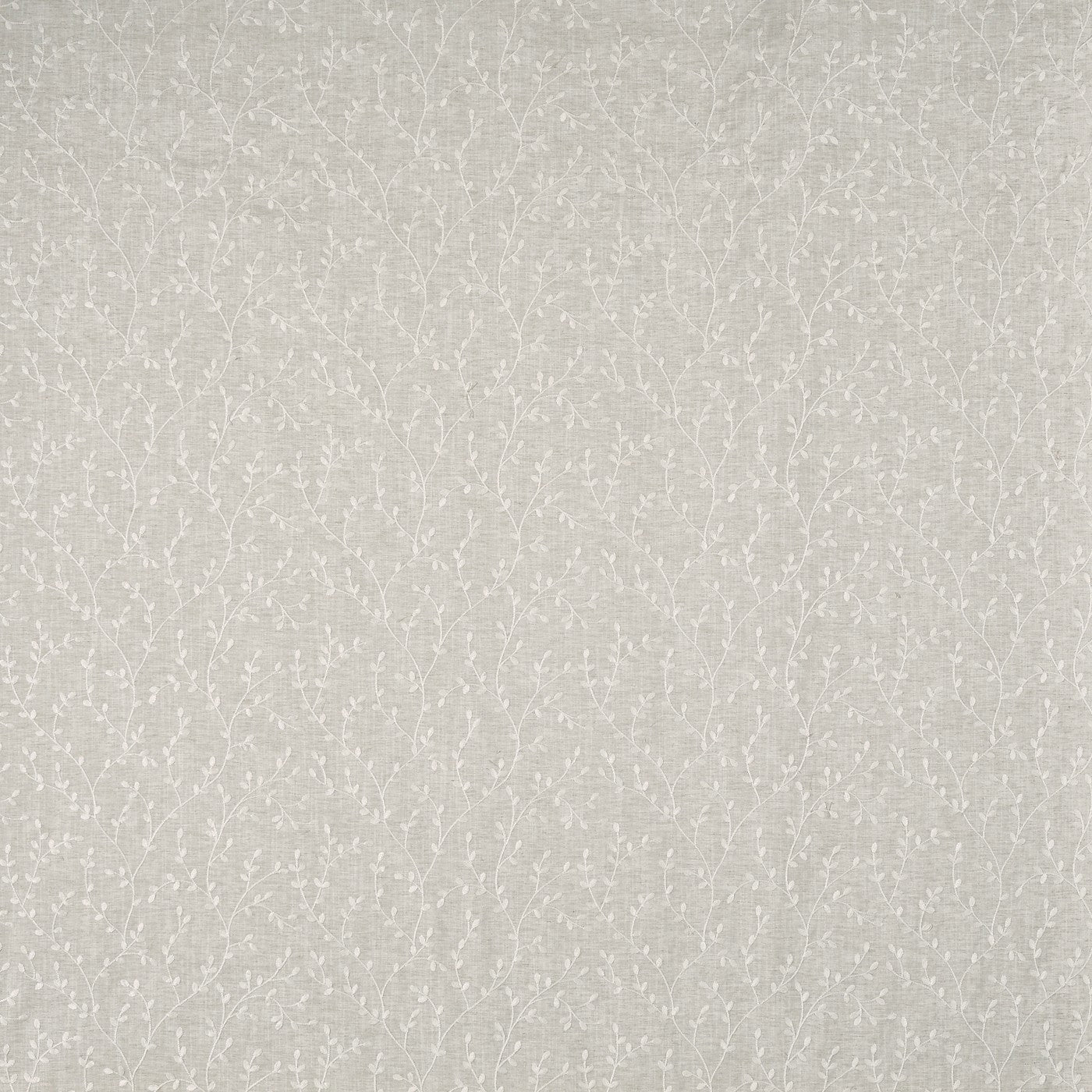 Ascot Canvas