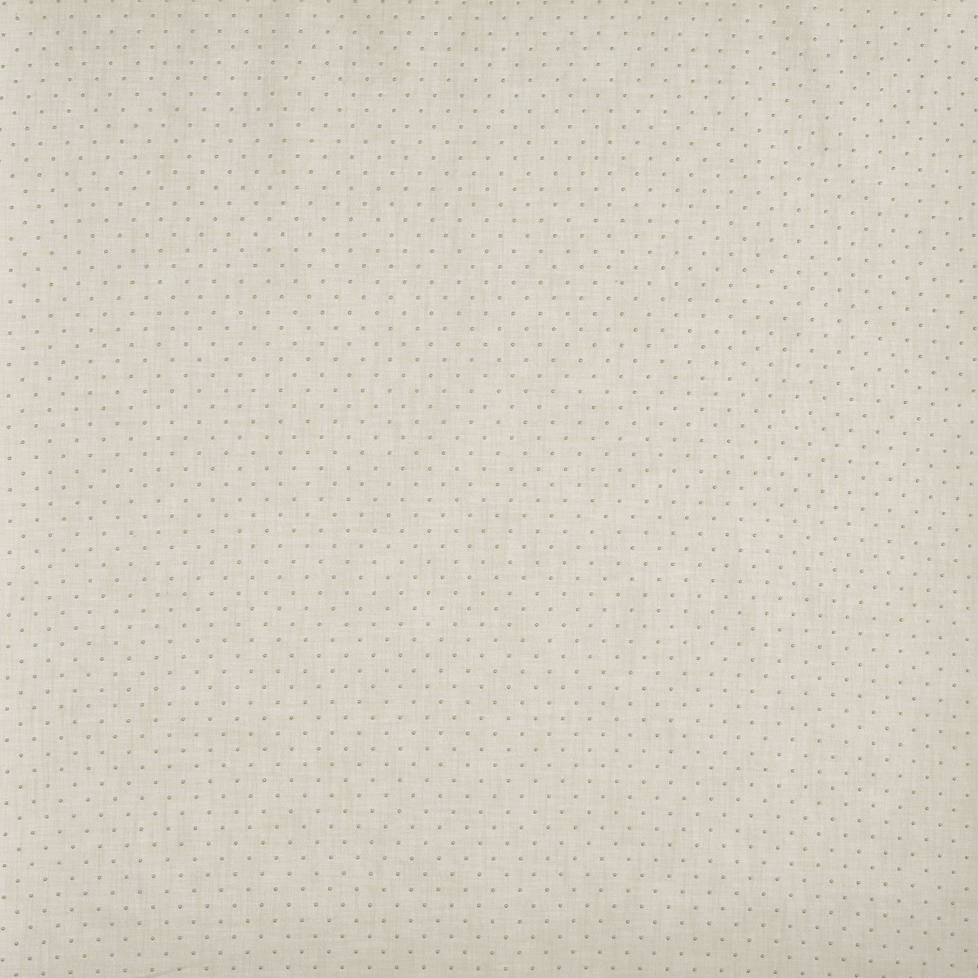 Oxford Canvas