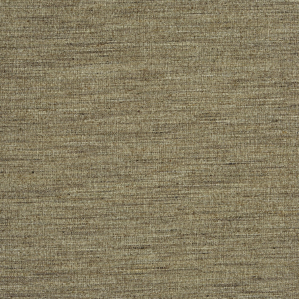 Canvas Wallaby