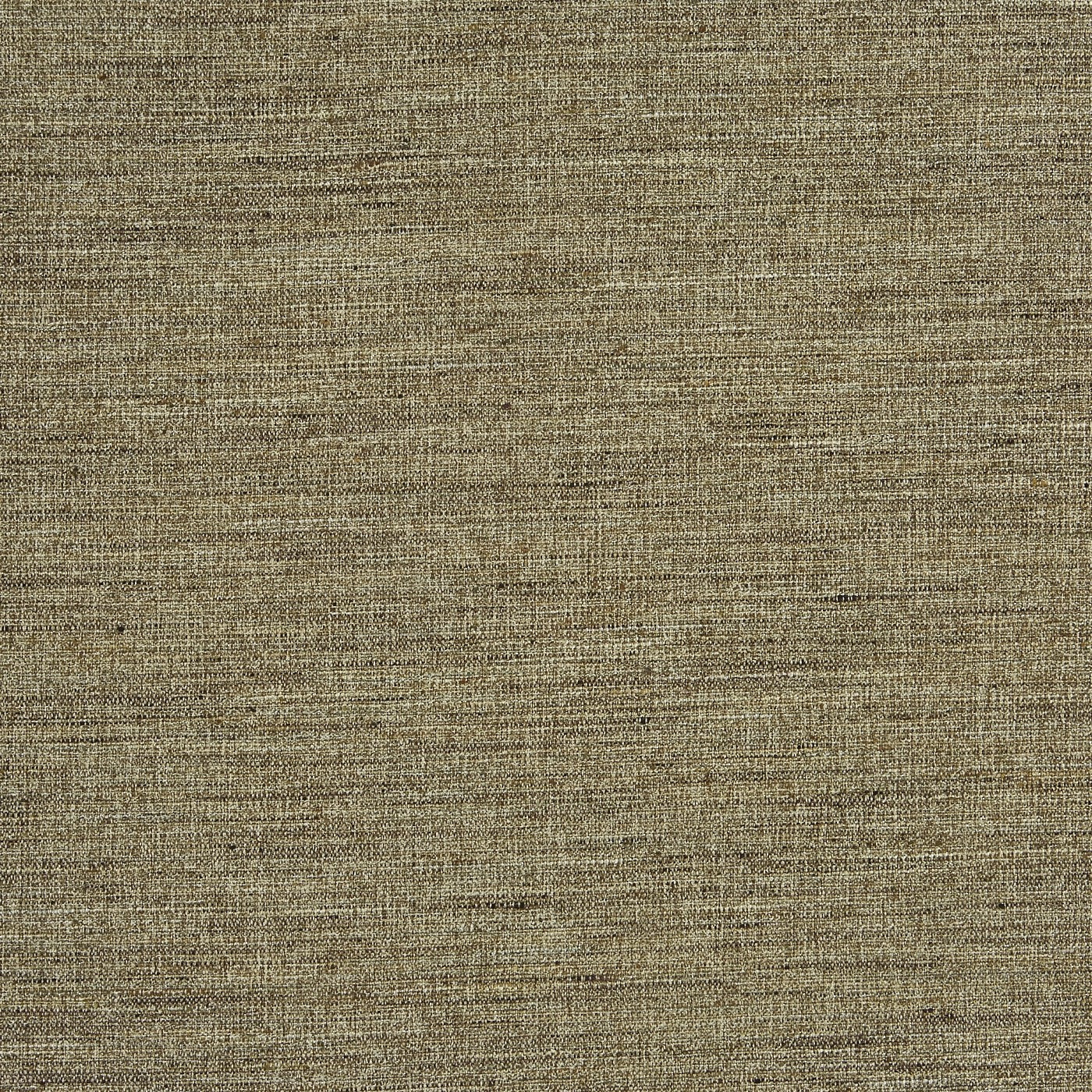 Canvas Wallaby
