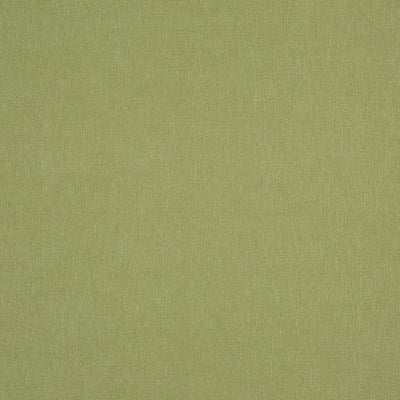 Tailor Sage