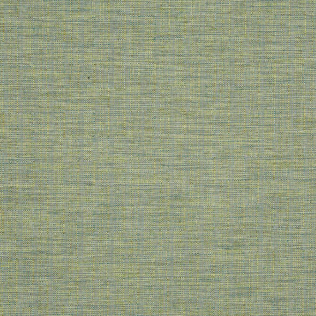 Twine Palm