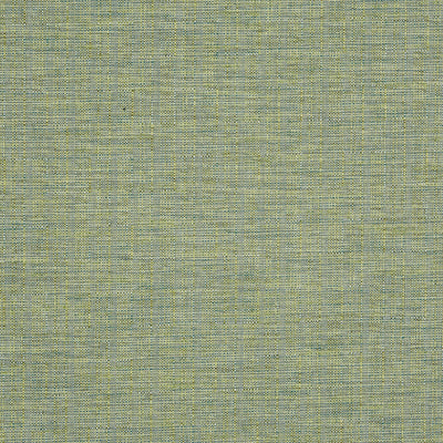 Twine Palm