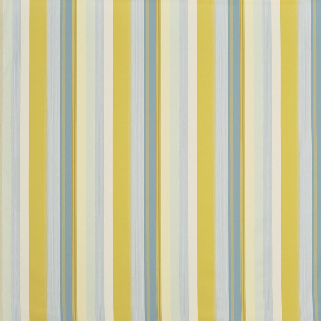 Twist Lemon Zest