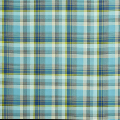 Zingo Indigo