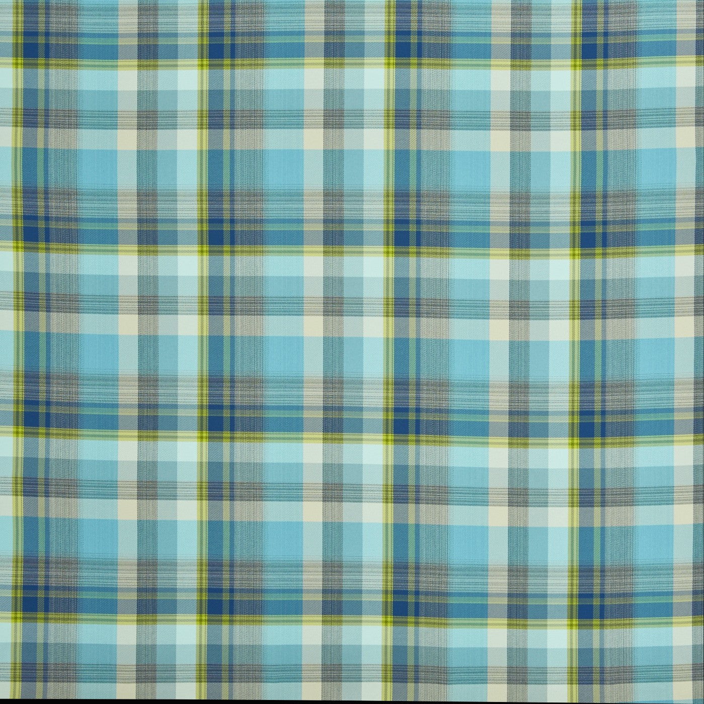Zingo Indigo