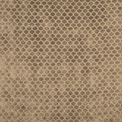 Meteor Stone