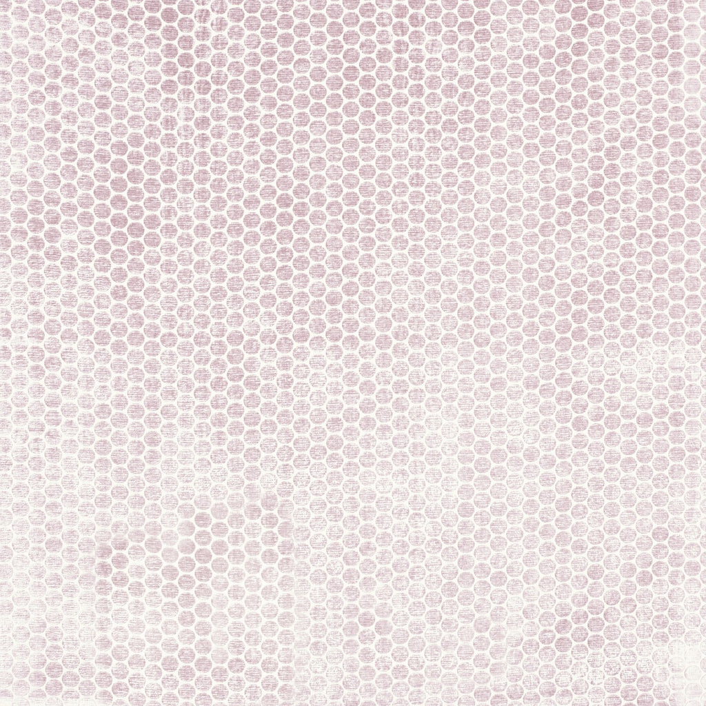 Moon Rose Dust