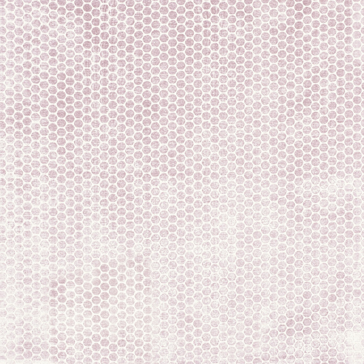 Moon Rose Dust