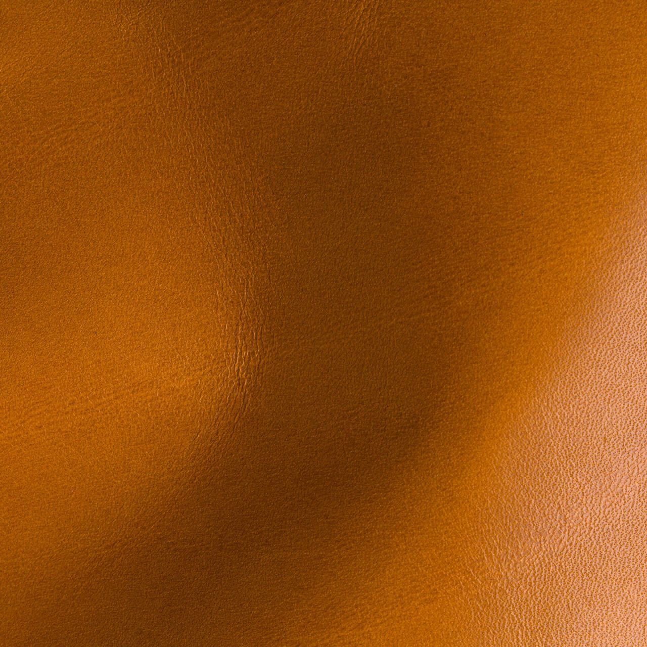 Star Saddle