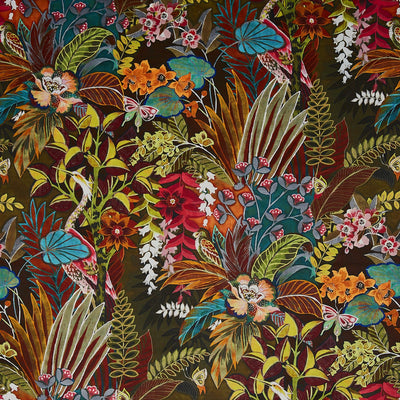 Hidden Paradise Calypso