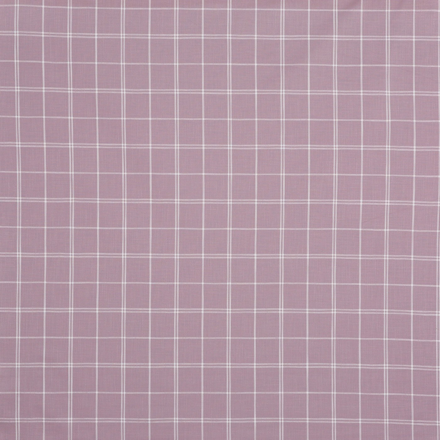 Boston Lilac
