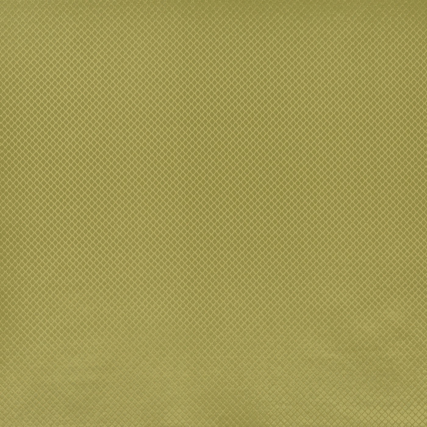 Charleston Olive
