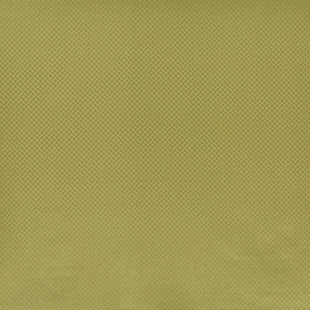 Charleston Olive