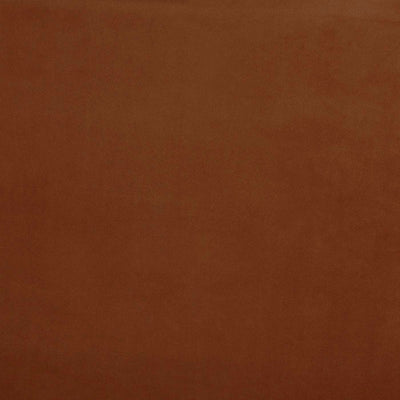 Belgravia Cinnamon