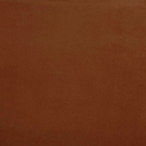 Belgravia Cinnamon