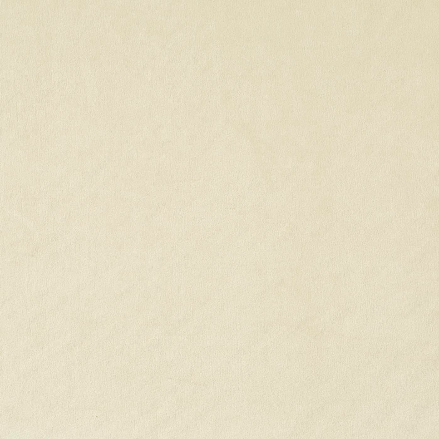 Belgravia Canvas
