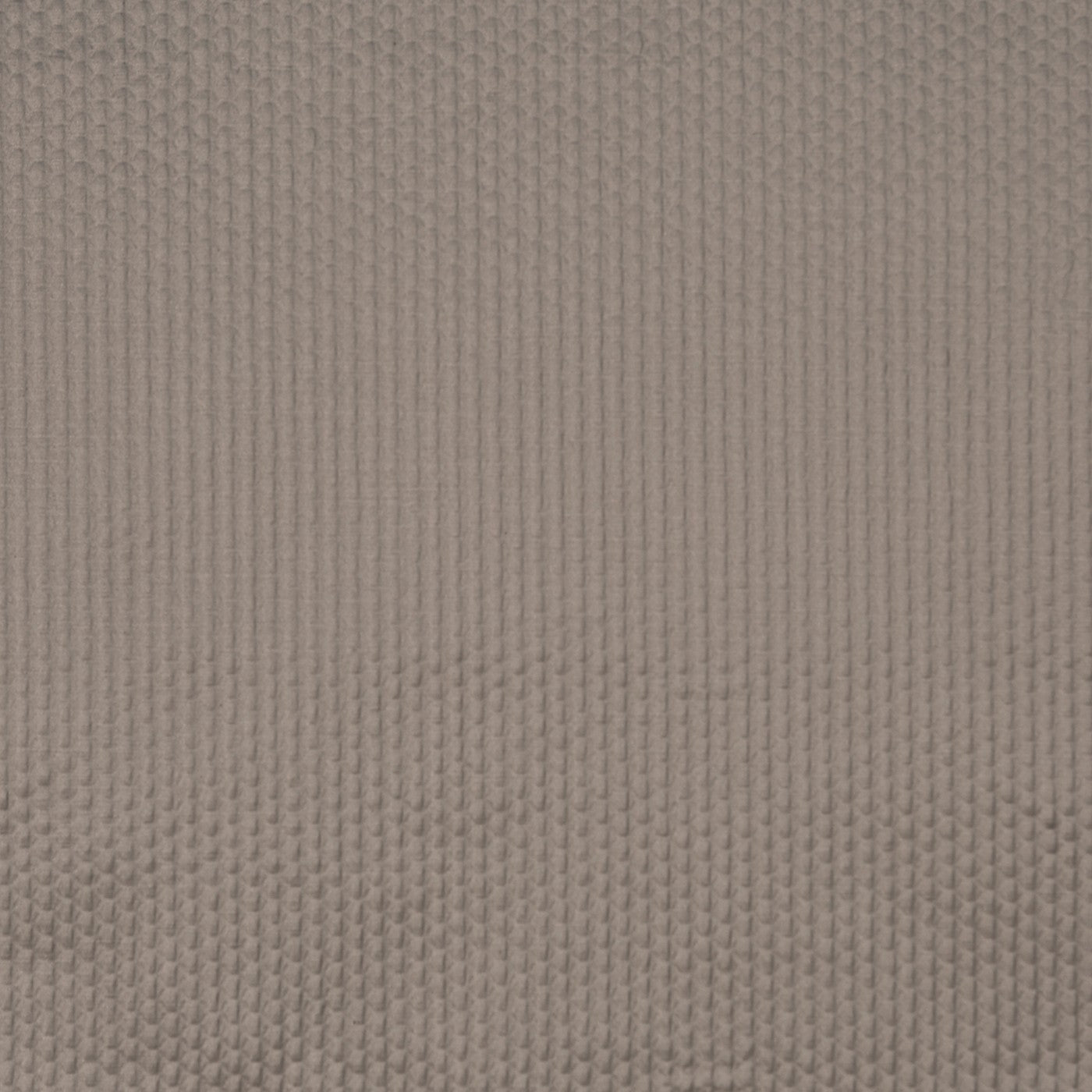 Emboss Moleskin