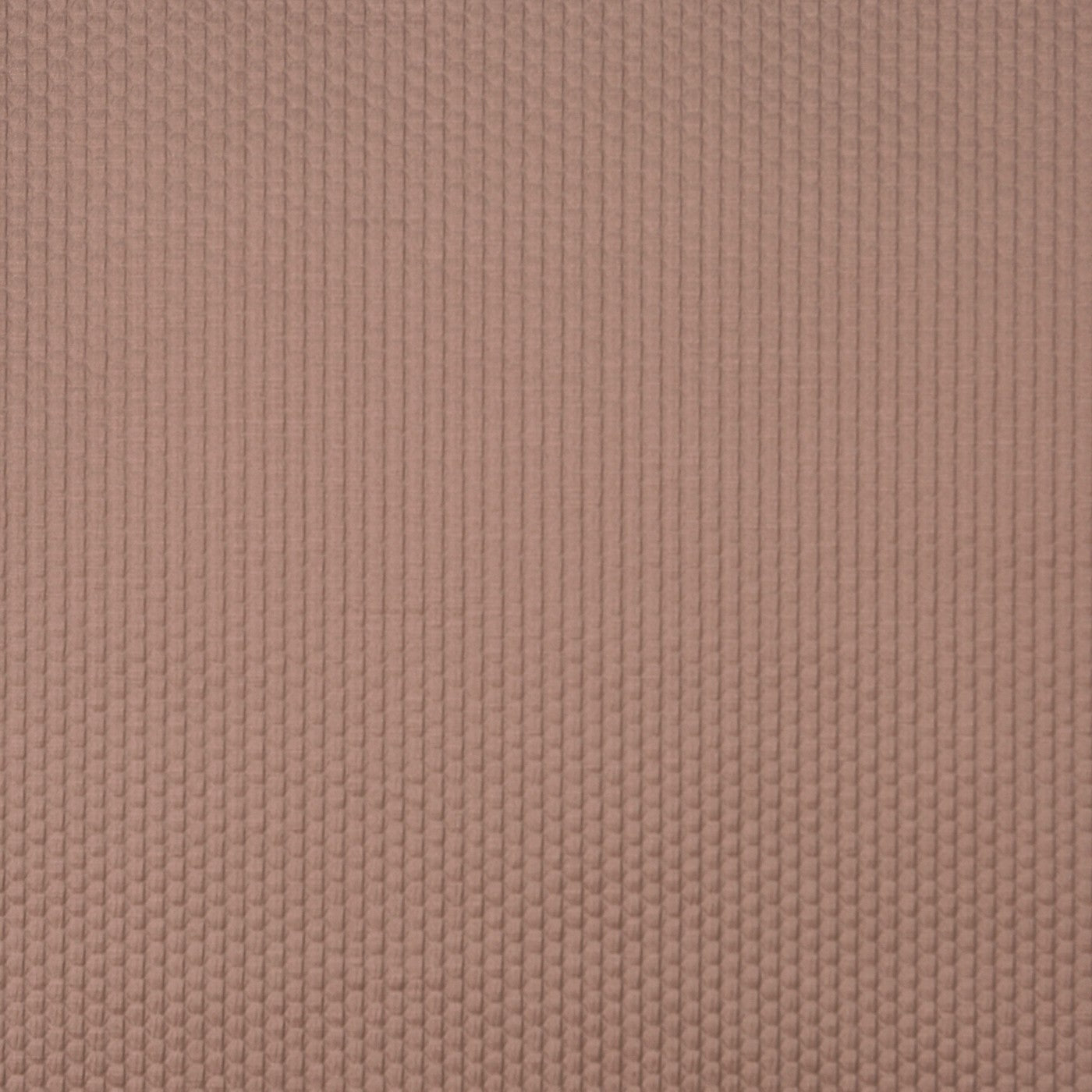 Emboss Rose