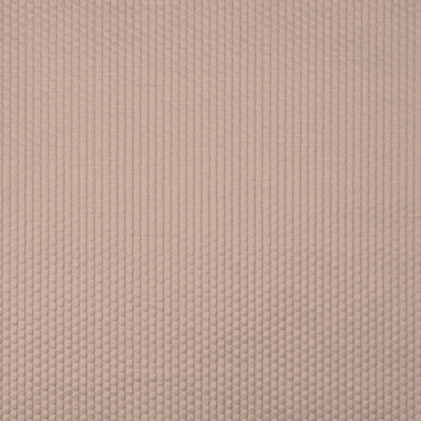 Emboss Shell