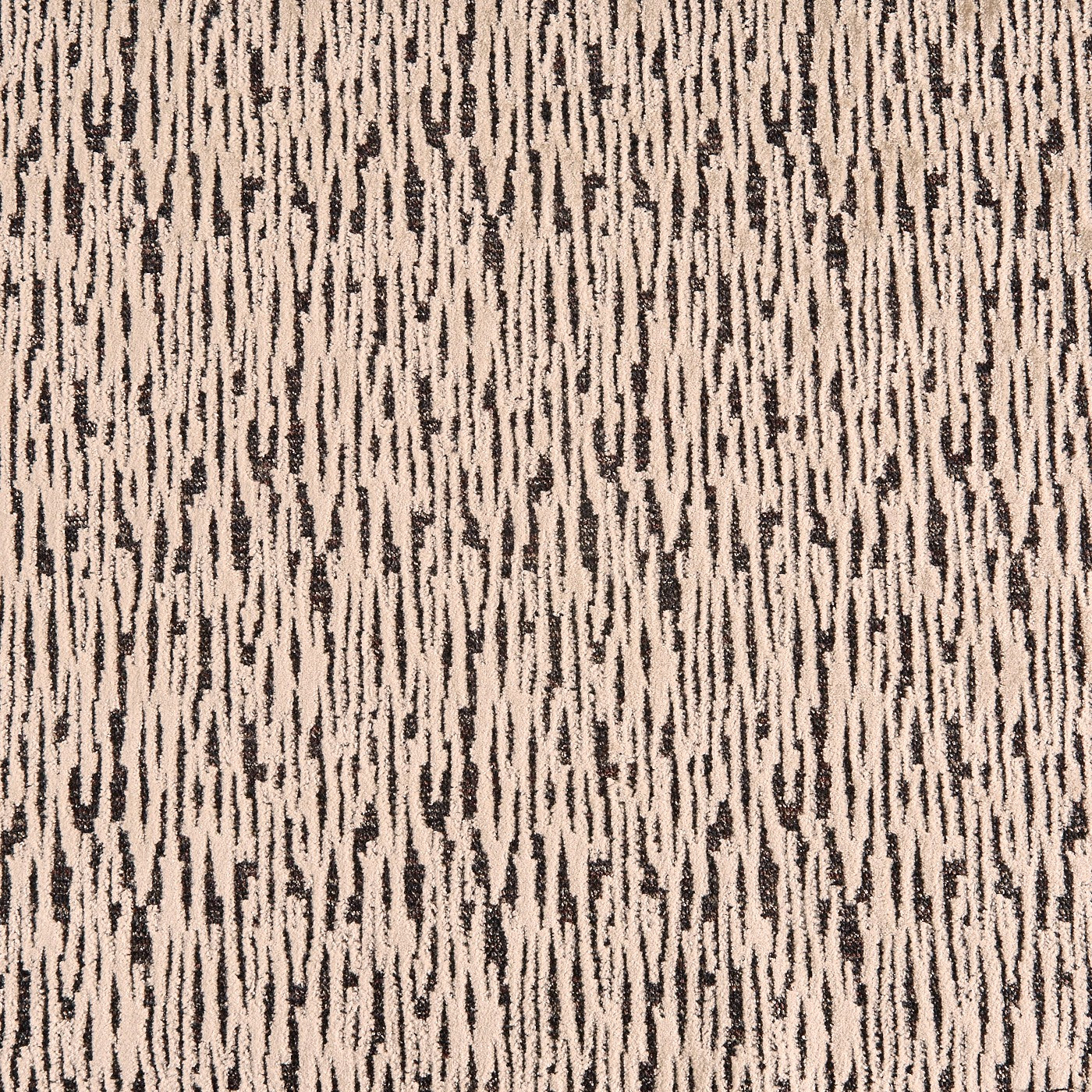 Tectonic Camel