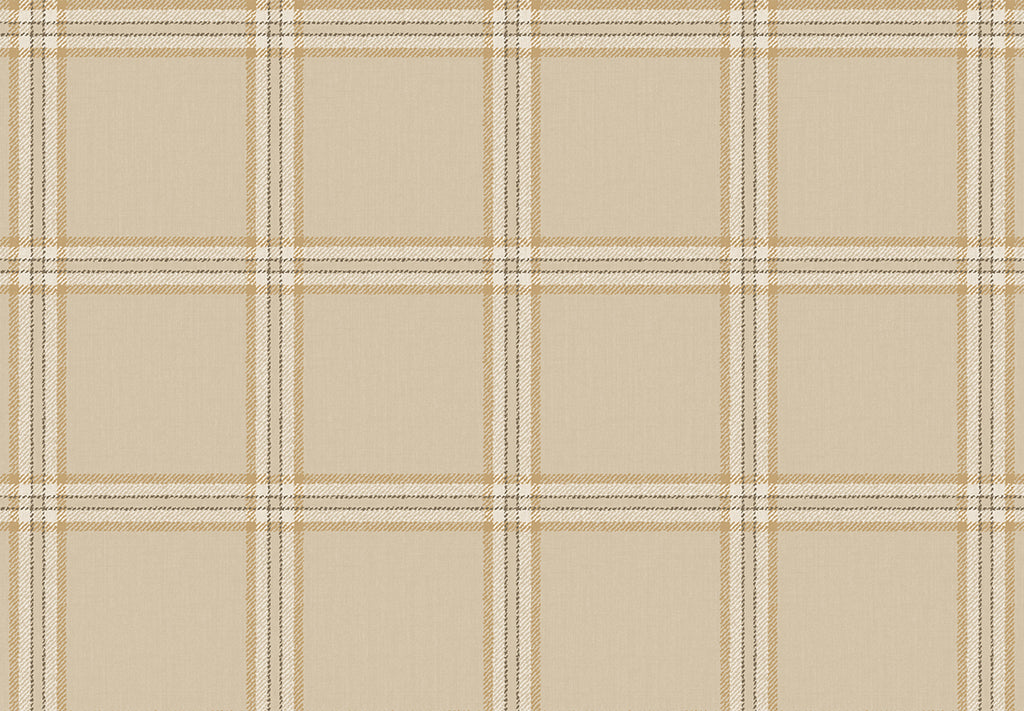 TOP STRIPES – Tissue 38413