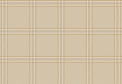 TOP STRIPES – Tissue 38413