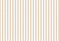 TOP STRIPES – Riga 1 38436