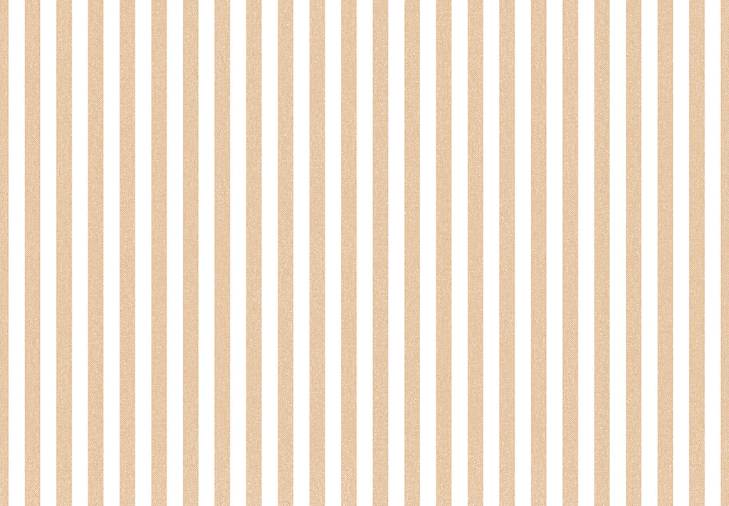 TOP STRIPES – Riga 1 38438