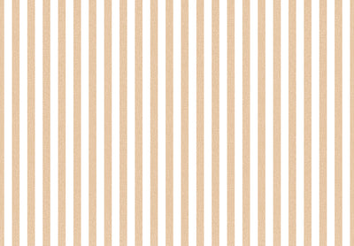 TOP STRIPES – Riga 1 38438